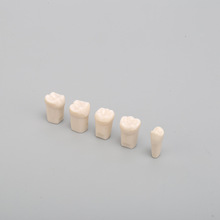 �Ӿ������늚��о�_�P����ģ�������ۉ�Ĥ��Ʒ��ȩģע�ܼ�