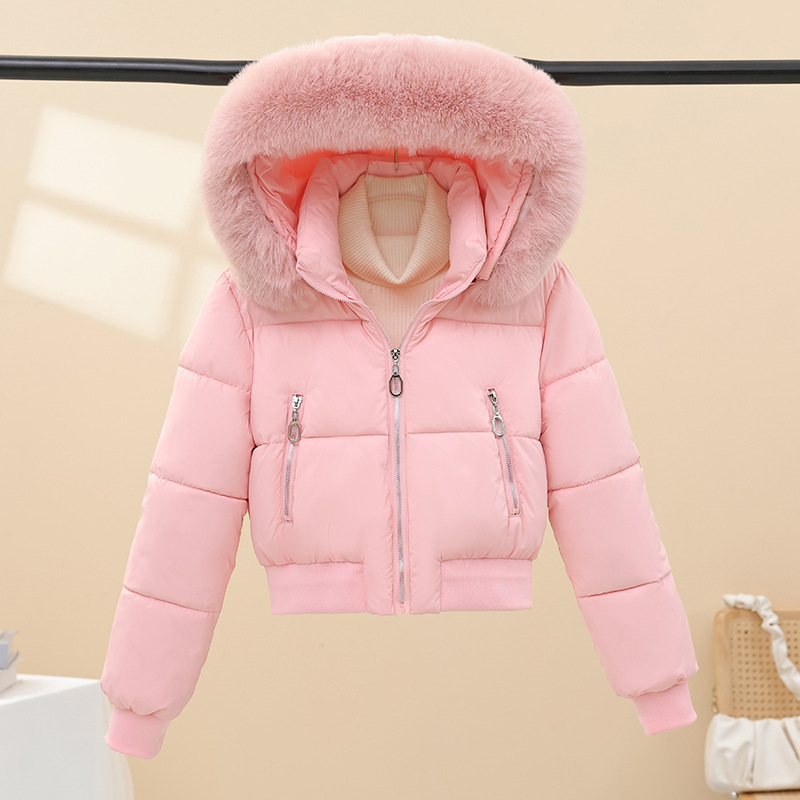 2025 invierno nuevo cuello de lana casual versátil ropa de algodón mujer con sombrero corto abrigo de algodón con sombrero nuevo abrigo