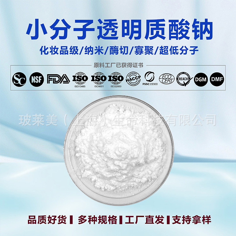 Ultra-Low Molecular Weight 500 Sodium Hyaluronate Powder 1000Da for Cosmetics, Nano-Scale Oligomeric Hydrolyzed Hyaluronic Acid Ultra-Low Molecular Weight 500 Sodium Hyaluronate Powder 1000Da for Cosmetics, Nano-Scale Oligomeric Hydrolyzed Hyaluronic Acid