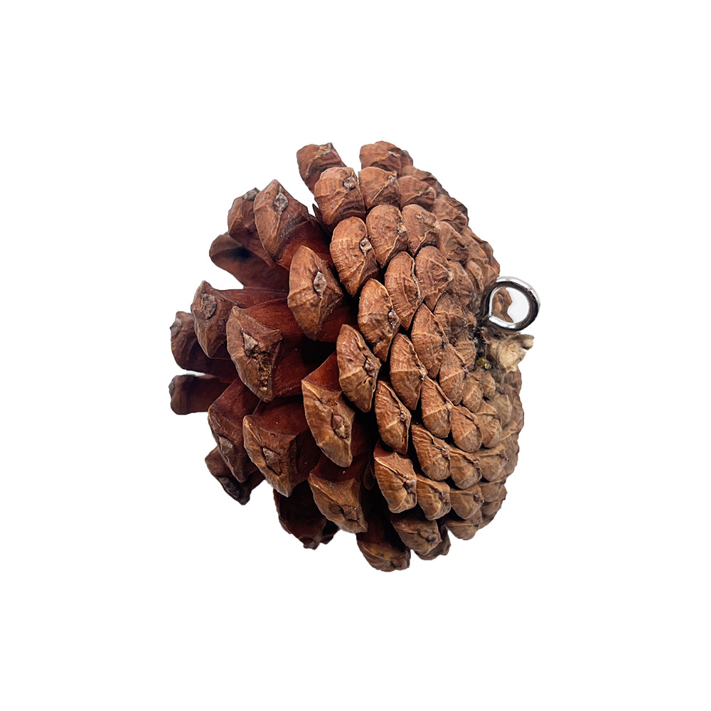 El juguete para morder de loro se puede colgar con piñas, mascota de pájaro, juguete de piñas navideñas, accesorios de decoración de jaulas para pájaros