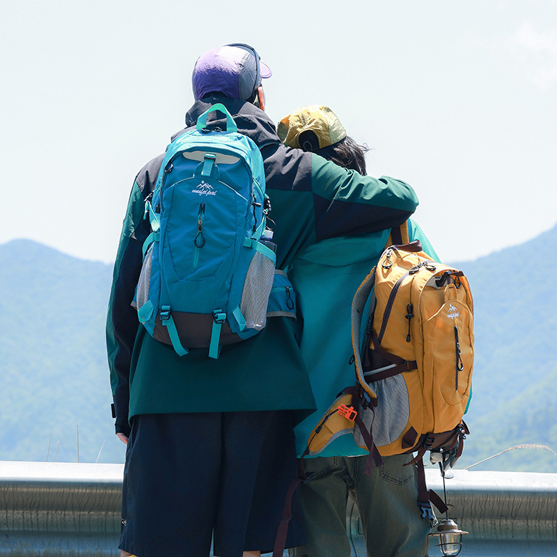 户外男女大容量登山背包旅游爬山轻便专业徒步运动旅行双肩包简约|undefined