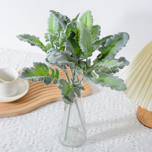 �S�ҹ������滨���lֲëֲ�q�Ã��~�y�~�� �Ҿ��b���ֲ���c