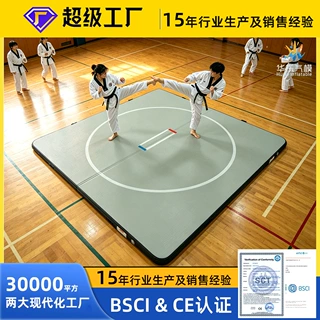 定制-跨境亚马逊充气瑜伽垫拉丝气垫跆拳道瑜珈馆地垫体操