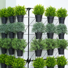 ����Gֲ����9��M�ώ��ܔ[���̨�����Fˇ�ڒ���Gֲ����