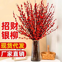 新年红福桶年宵花卉室内耐寒摆件真花枝干花水培植物银柳单个无