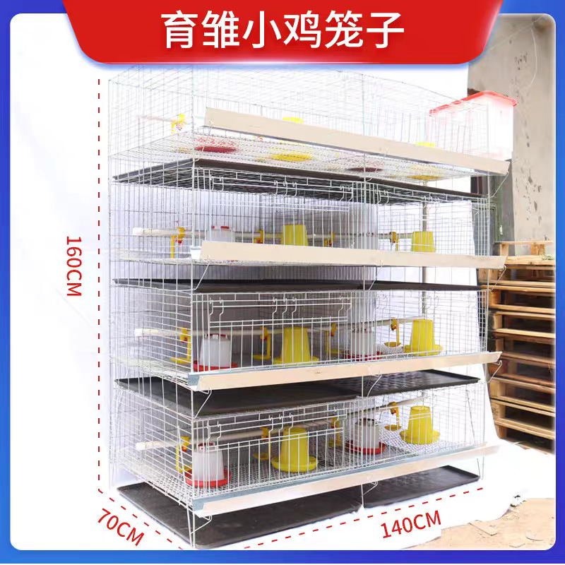 育雏鸡笼小鸡笼全自动养殖设备加粗加密小鸡笼