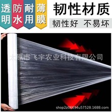 ����Ĥ�B�o��Ĥ��Ĥ���B���ϻ�����Ĥ���w�B��Ĥ���B���ع��̌���