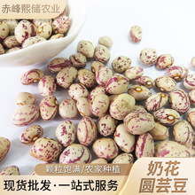 ؛rԷN󻨶 ɹ̻Aܿ Ҝ̻ܿ