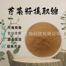 芹菜籽提取物10:1水溶性粉食品级原料芹菜籽萃取精细粉末现货包邮