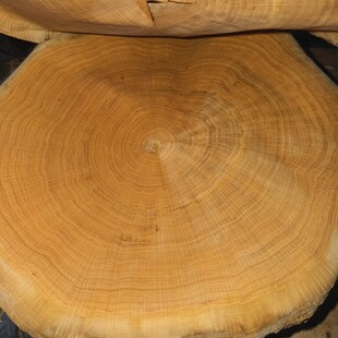 ����ľ�M�Џ�����݆ľƤ�Ҿߵ�����݆ľƤ�NƤ�o����ľƤ