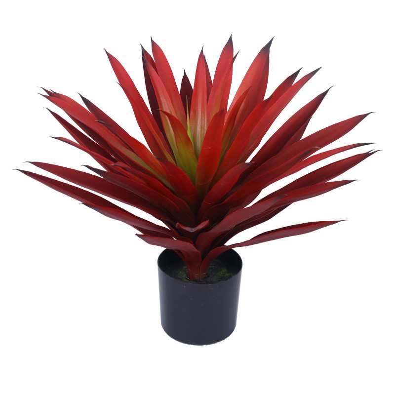 Tequila rojo pequeño 50cm