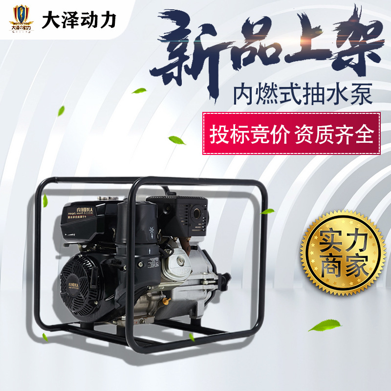 备用2寸汽柴油自吸泵50立方抽水 大泽动力 TO20EW 防汛抗洪值这价