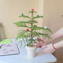 Ůɼɼ}QƽBkҿ͏dbGֲ