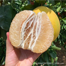 �޽����Ә����������ɳ�����Ϸ������Nֲ�ش���Y��ͥԺ������