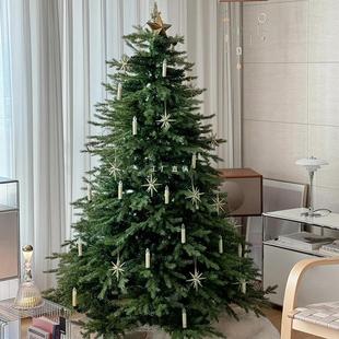 Christmas Tree 2024 New Style Living Room Home Sense Large Decorative Ornaments Ins Style Christmas Pe Tree