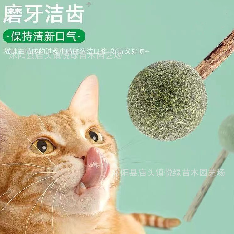 批发猫薄荷球棒棒糖 逗猫玩具木天廖棒 磨牙棒洁齿耐咬  逗猫零食