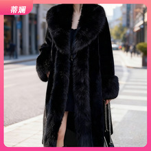 2025¿Ƥëһw½qƤŮʿL@