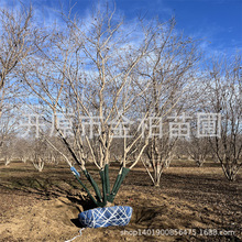 ��Ǘ����س��깩����Ԫ��������б�h��Ǘ�����ɽ������Ǘ���