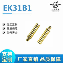 F؛늏p^pogo pinᘳ̽쾀݃x