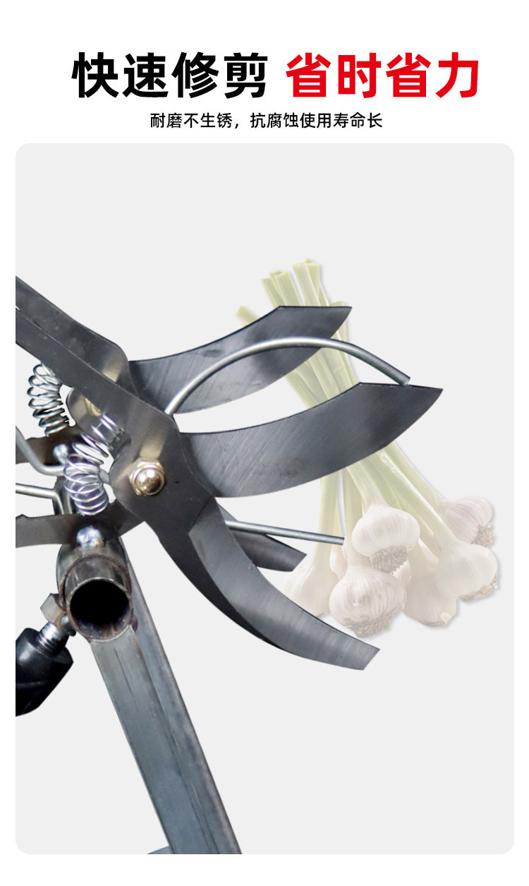 O1CN01uwoTH81MMrYsgDRxs_!!4070