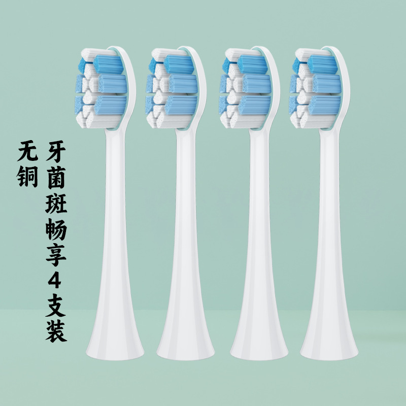 구리가없는 플라크 즐기기