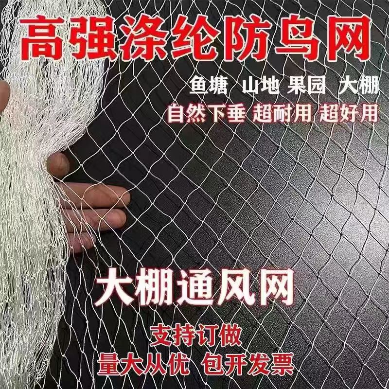 微信图片_20241113151506