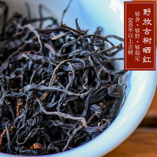 2025���²�Ұ�ŹŘ��t �R���ѩɽ 500�Ř��t�� �P�c�����l��