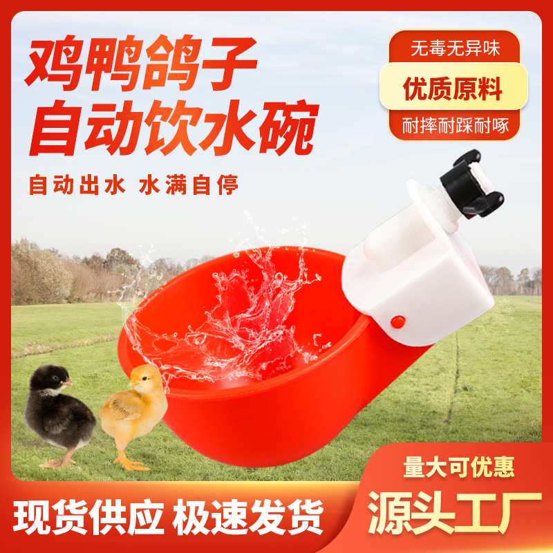 Tazón de agua de pollo transfronterizo Tazón de agua para beber automático de aves de corral Dispensador de agua de pollo automático Taza de agua de pollo, pato y ganso Cría de artefactos de alimentación de agua