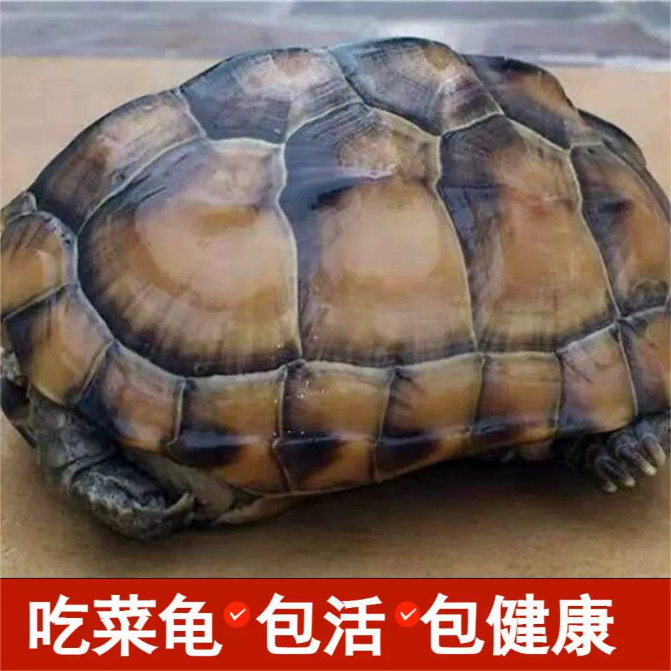 []