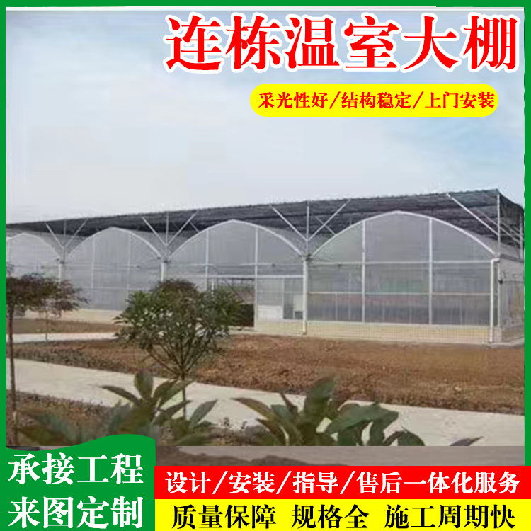 肩并肩连体蔬菜大棚 全套农业镀锌钢管设备 抗风抗雪抗压连栋大棚