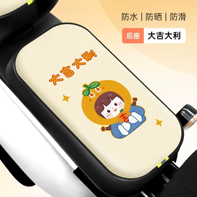 Heat Insulation Rainproof Cushion Cover, Electric car cushion