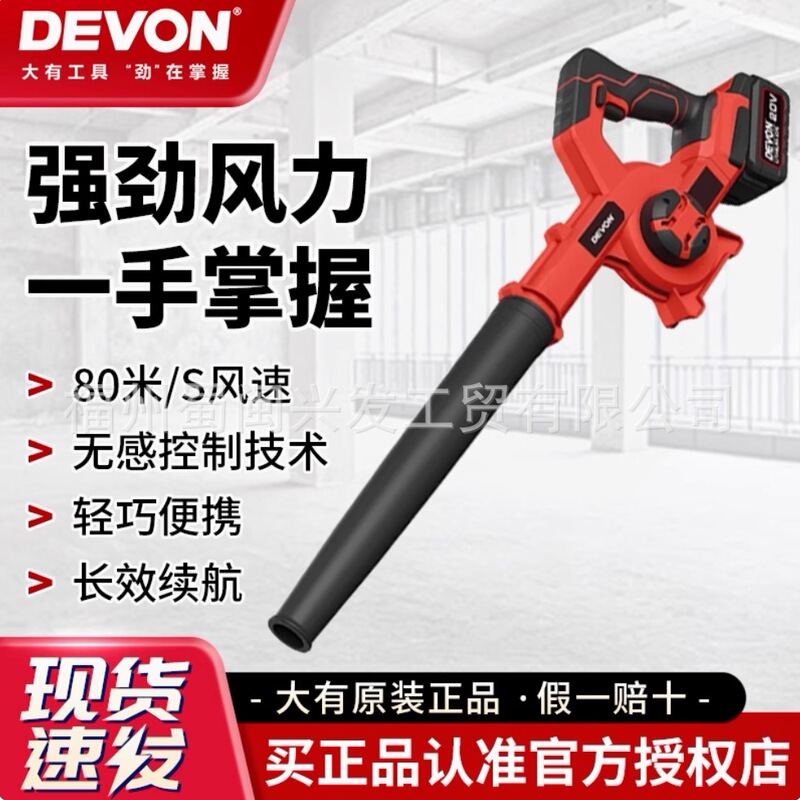 Dayou 20V Lithium Battery Dust Collector 4712 Small Household Hair Dryer Dust Blowing Blower Garden Special