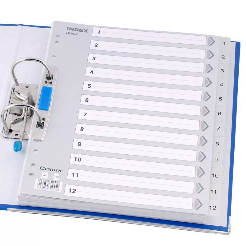 Qixin IX894 Easy Classification Годовой индекс А4 12 страниц 1-12 11 отверстий PP