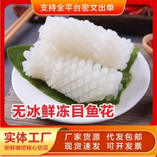 鱿鱼花生鲜墨鱼花目鱼花鱿鱼卷火锅食材日料烧烤冷冻大鱿鱼花商用