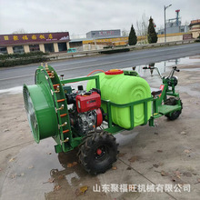 @LʹșC  ݆TʽșC ߲˹ϹFC