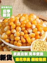 球形爆米花玉米粒100g5斤球型爆米花专用干苞米家庭微波炉自己爆