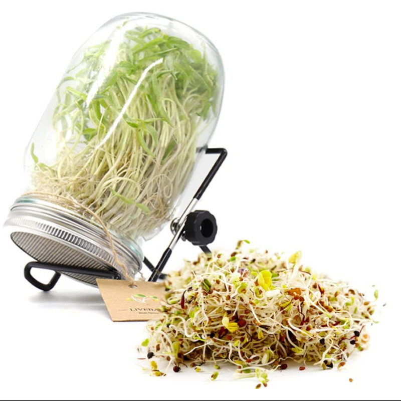 Venta al por mayor de acero inoxidable 304 tarro de masón cubierta de germinación Pantalla de germinador de semillas Pantalla de filtro de grado alimenticio Amazon