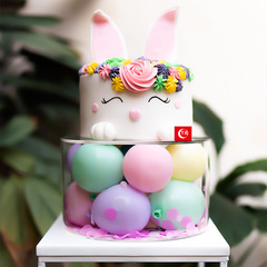 Cross-border transparent acrylic fillable cake stand party wedding theme DIY versatile matching factory direct sale