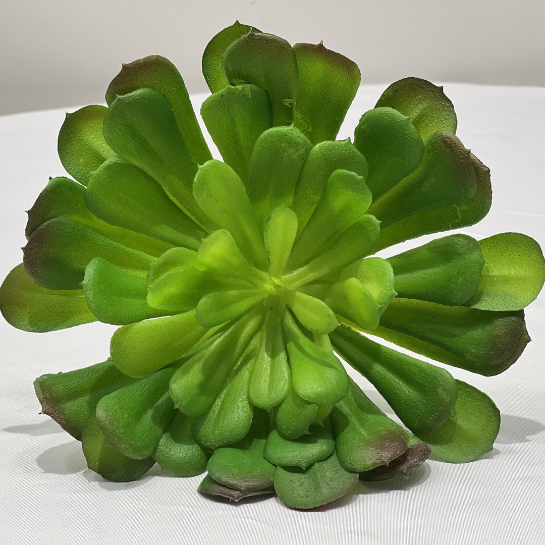 Marco decorativo Planta nórdica colgante de pared decoración de pared colgante de pared tridimensional pared de fondo de planta verde pared cabeza de ciervo simulación suculento planta verde