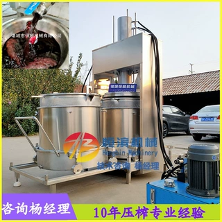 甜酒酿糯米酒压榨机牛油火锅底料油渣压滤机猪油渣压油机