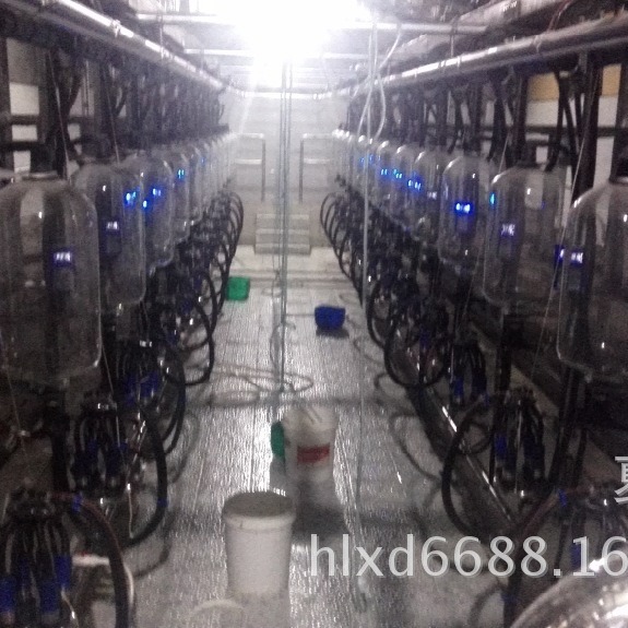 挤奶厅设备奶牛鱼骨式计量瓶式挤奶机 （本店铺产品需详询后下单
