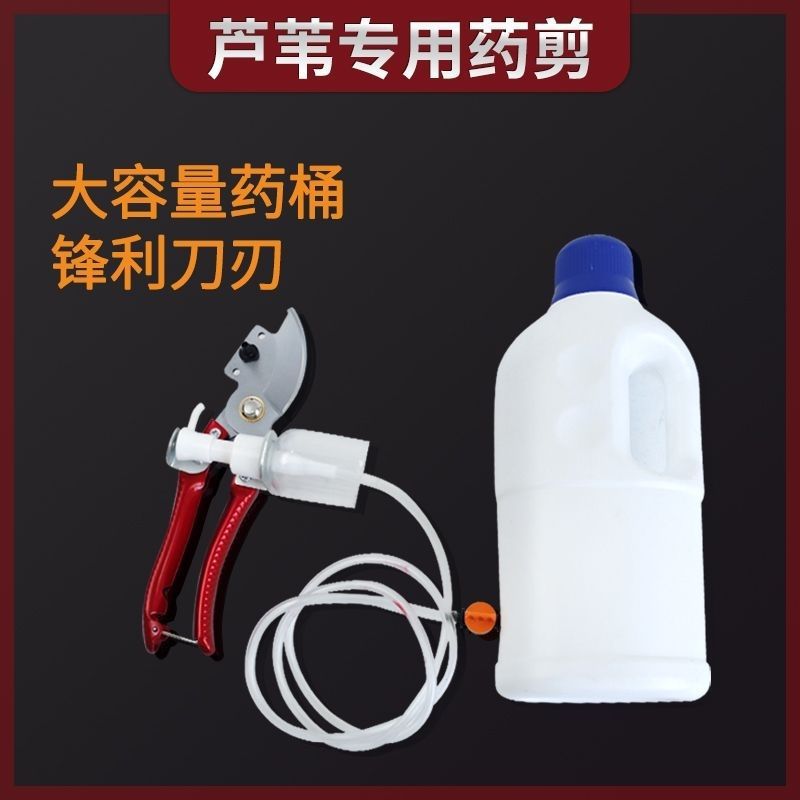 批发自动喷农药修枝工具新疆专用芦苇打药剪刀园林果树修枝剪