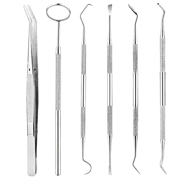 Cuidado dental Herramientas para dentistas orales Extiridor de cálculos de acero inoxidable Herramientas de limpieza dental Juego de 6 piezas