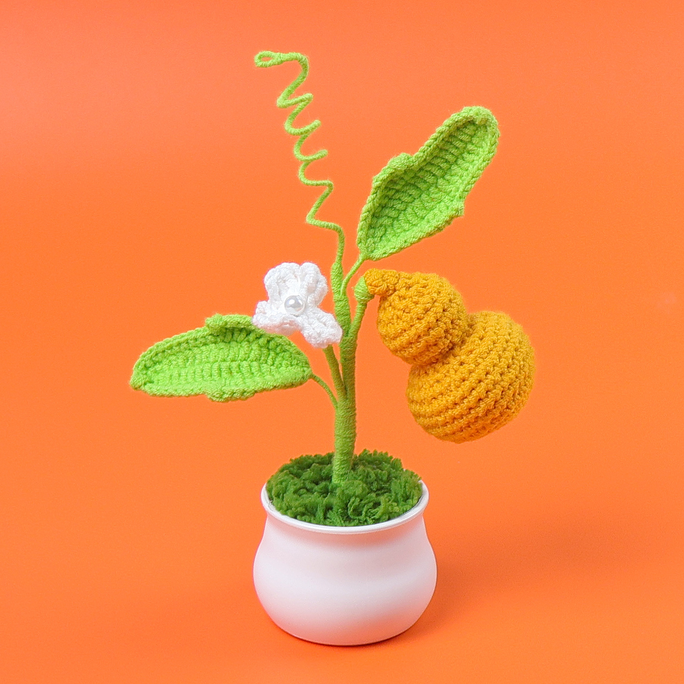 Xuefei-Curbitaceae (naranja)