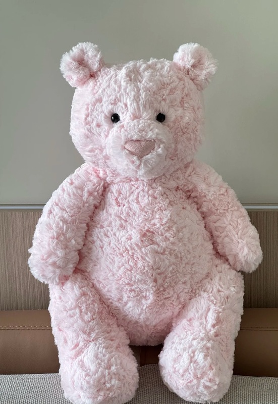 国产jellycat同款巴塞罗那粉熊公仔毛绒玩具可爱安抚玩偶莱奥拉熊|undefined