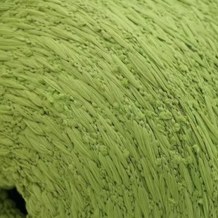 5.2֧����\�� ��ʽ�� �طN�� С������ ��Ⱦ���\�� С���L����