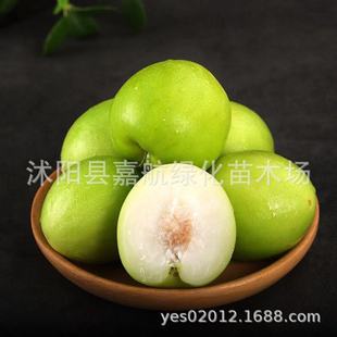 ɢ�b�������N�� ���ӷN�� ̨���𗗷N�Ӷ����N�Ӽ�ͥ�̨ͥԺ����