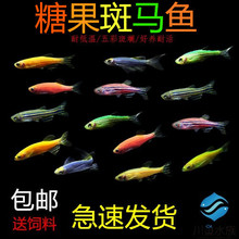 ���] ���R�~���Bƿ��ˮ�~���R�~�t�G����ˮ�~С�͟Ꭷ�^�p�~���w