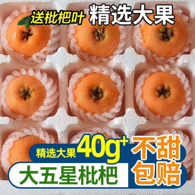 现货正宗四川米易枇杷新鲜水果5斤大果当季大五星琵琶果整箱包邮3