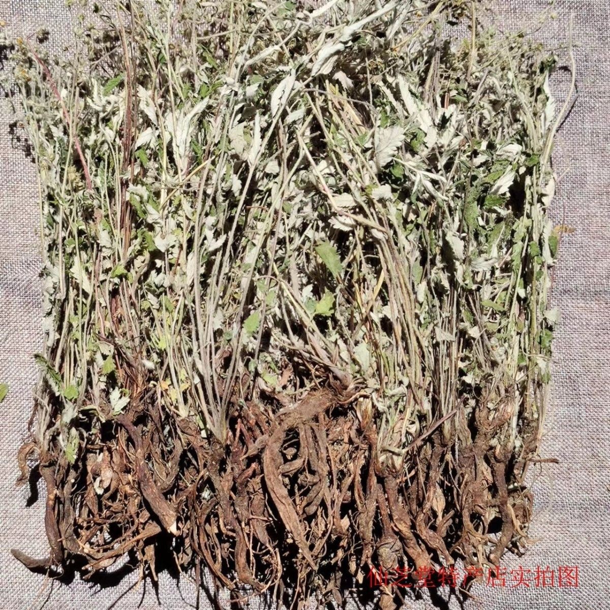 新货翻白草1公斤 野生翻白草 正品野生反白草 中药材批发